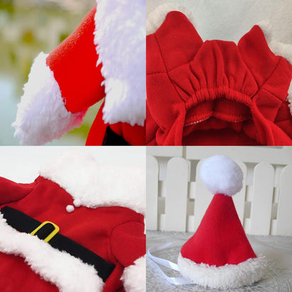 Festive Furry Santa Costume™