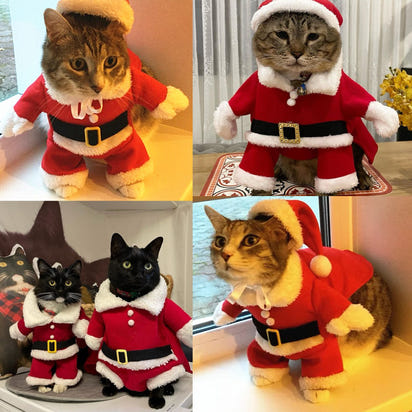 Festive Furry Santa Costume™